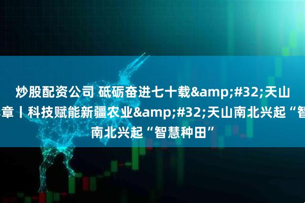 炒股配资公司 砥砺奋进七十载&#32;天山南北谱华章丨科技赋能新疆农业&#32;天山南北兴起“智慧种田”