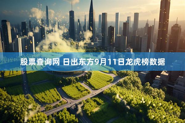股票查询网 日出东方9月11日龙虎榜数据